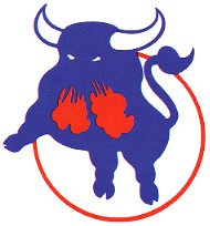 Logo for the first version of the Birmingham Bulls (late '70s)